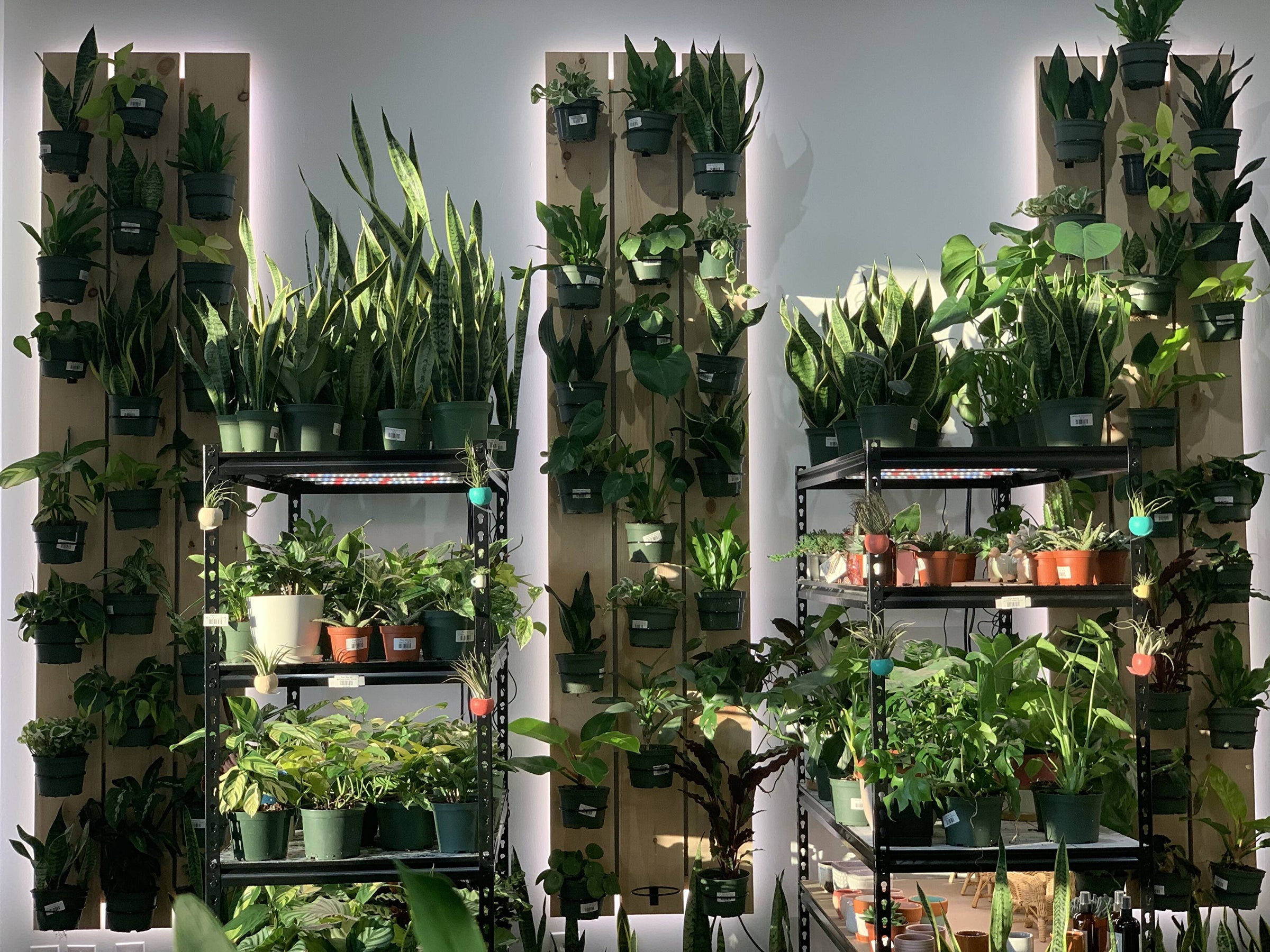 COME VISIT US | Plant Box Co.